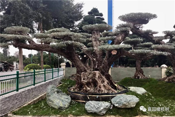 微信圖片_20201211100046.jpg 微信圖片_20201211100046.jpg