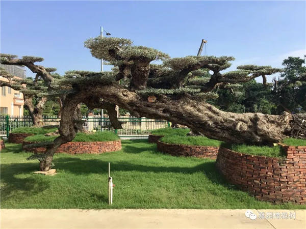 微信圖片_20201211100100.jpg 微信圖片_20201211100100.jpg