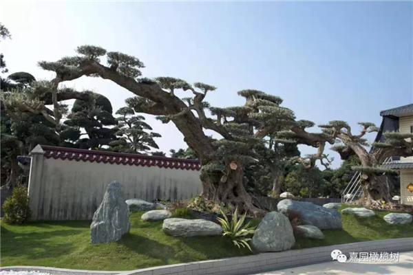 微信圖片_20201211101521.jpg 微信圖片_20201211101521.jpg