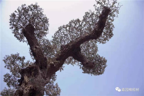 微信圖片_20201211101529.jpg 微信圖片_20201211101529.jpg