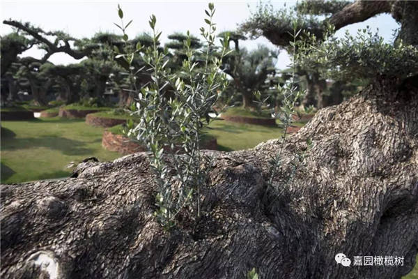 微信圖片_20201211101532.jpg 微信圖片_20201211101532.jpg