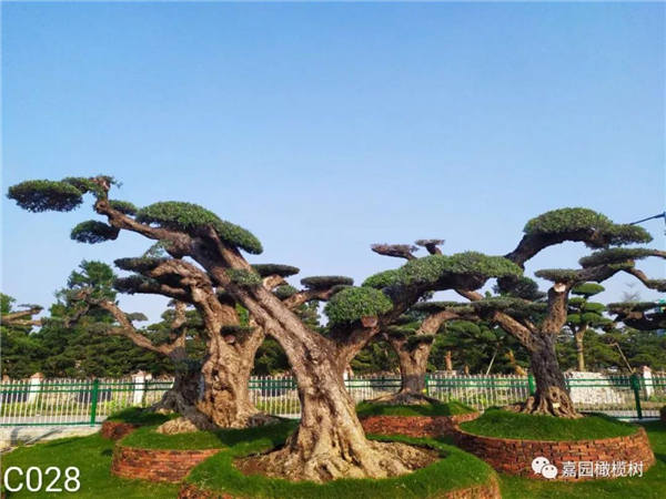 微信圖片_20201211101943.jpg 微信圖片_20201211101943.jpg