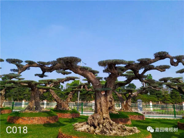 微信圖片_20201211101957.jpg 微信圖片_20201211101957.jpg