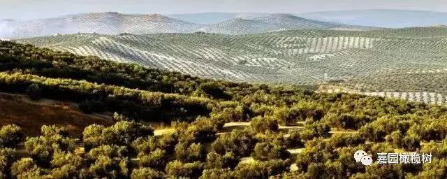 微信圖片_20201211102529.jpg 微信圖片_20201211102529.jpg