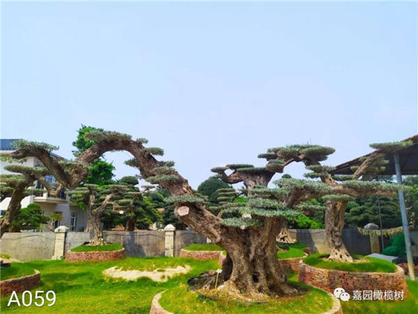 微信圖片_20201211103803.jpg 微信圖片_20201211103803.jpg