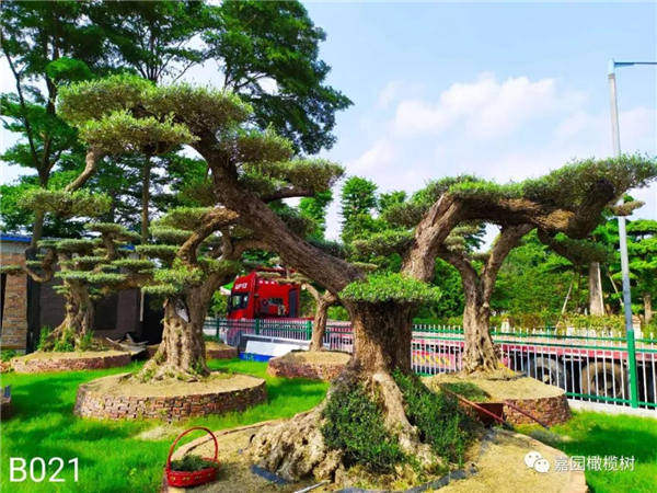 微信圖片_20201211103806.jpg 微信圖片_20201211103806.jpg