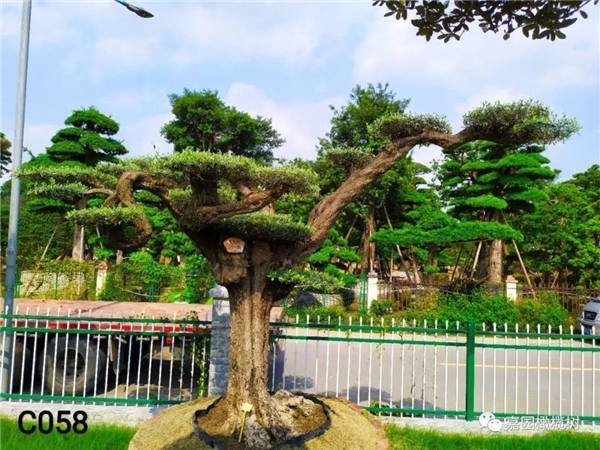 微信圖片_20201211103809.jpg 微信圖片_20201211103809.jpg