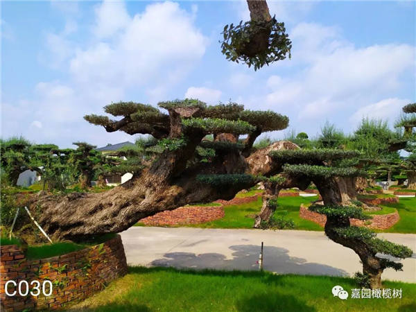 微信圖片_20201211103817.jpg 微信圖片_20201211103817.jpg