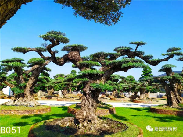 微信圖片_20201211104203.jpg 微信圖片_20201211104203.jpg