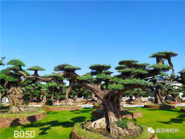 微信圖片_20201211104208.jpg 微信圖片_20201211104208.jpg