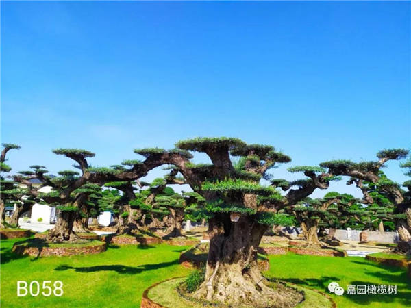 微信圖片_20201211104210.jpg 微信圖片_20201211104210.jpg