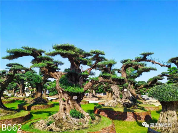 微信圖片_20201211104212.jpg 微信圖片_20201211104212.jpg