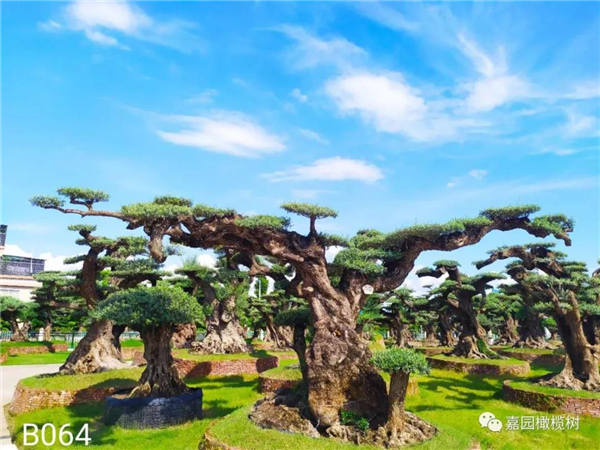 微信圖片_20201211104501.jpg 微信圖片_20201211104501.jpg