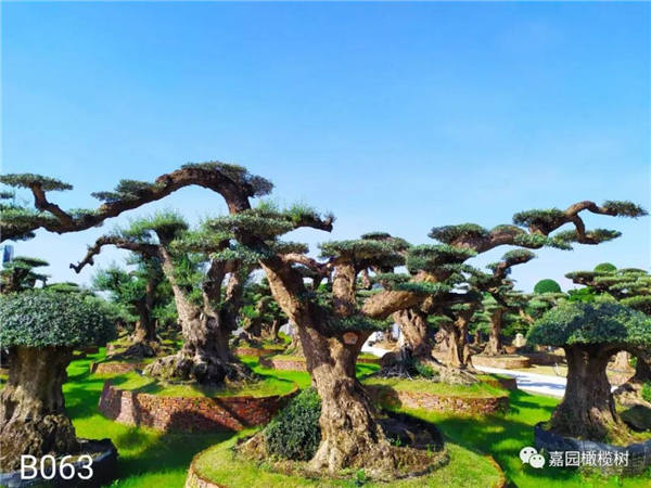 微信圖片_20201211104506.jpg 微信圖片_20201211104506.jpg