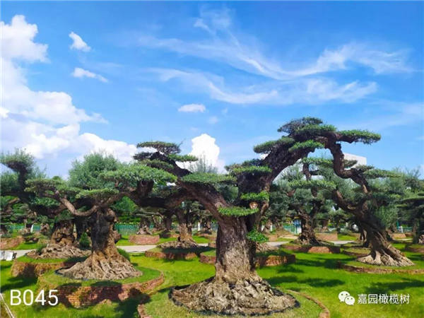 微信圖片_20201211104510.jpg 微信圖片_20201211104510.jpg