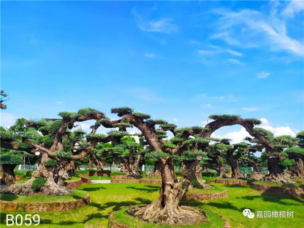 微信圖片_20201211104515.jpg 微信圖片_20201211104515.jpg