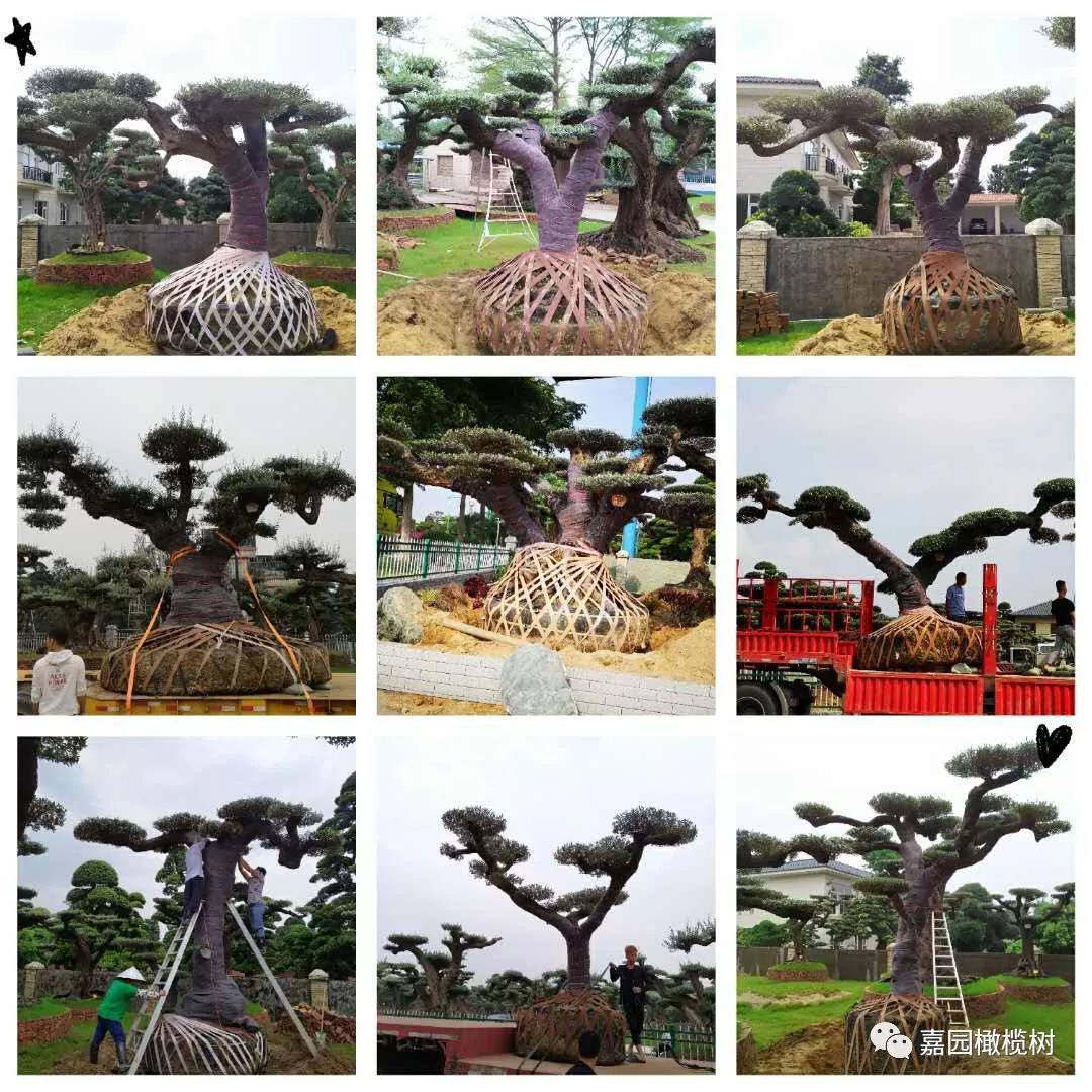 微信圖片_20201211120139.jpg 微信圖片_20201211120139.jpg